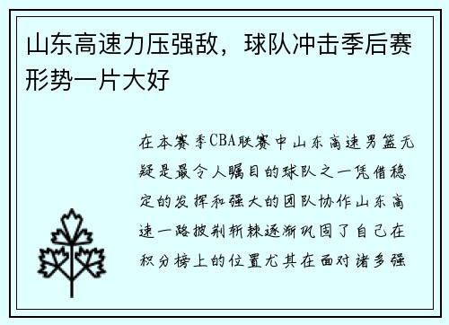 山东高速力压强敌，球队冲击季后赛形势一片大好